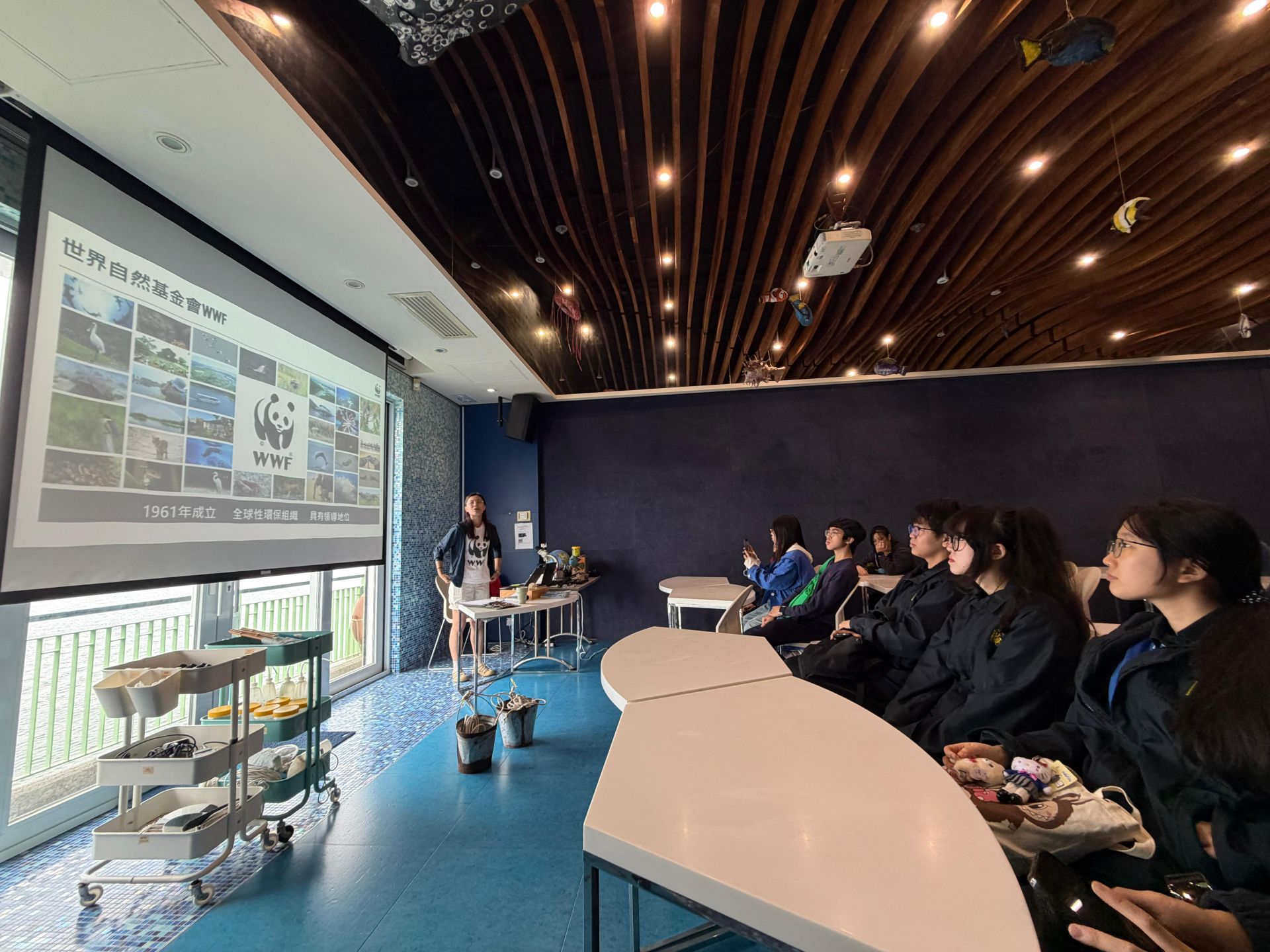 西貢海下灣海岸公園進行珊瑚考察