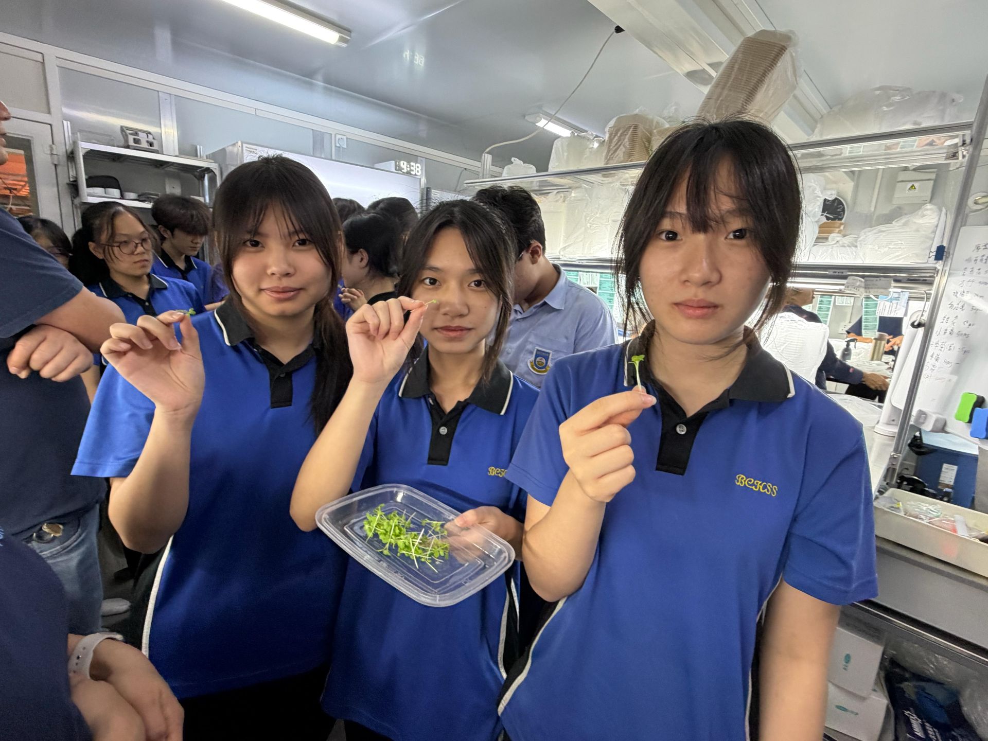 水耕農場體驗